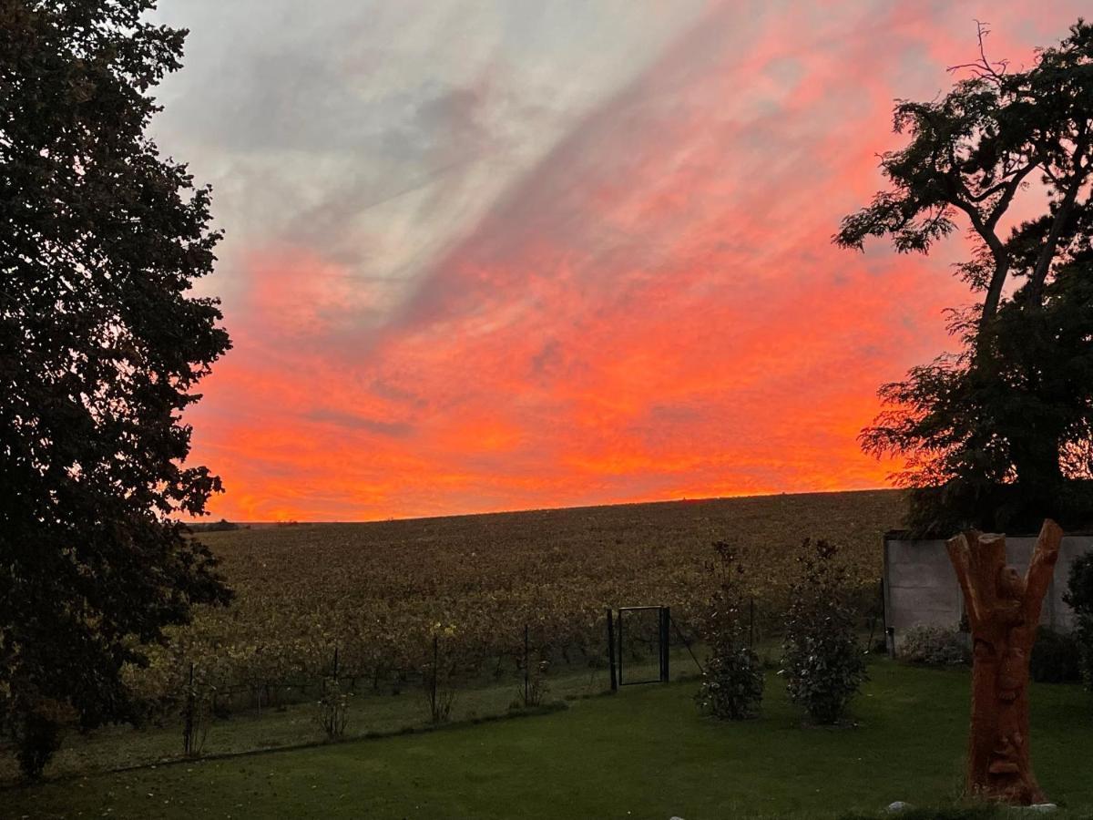 Best View, Pool And Spa On The Champagne Vineyard Saint-Thierry Exterior photo