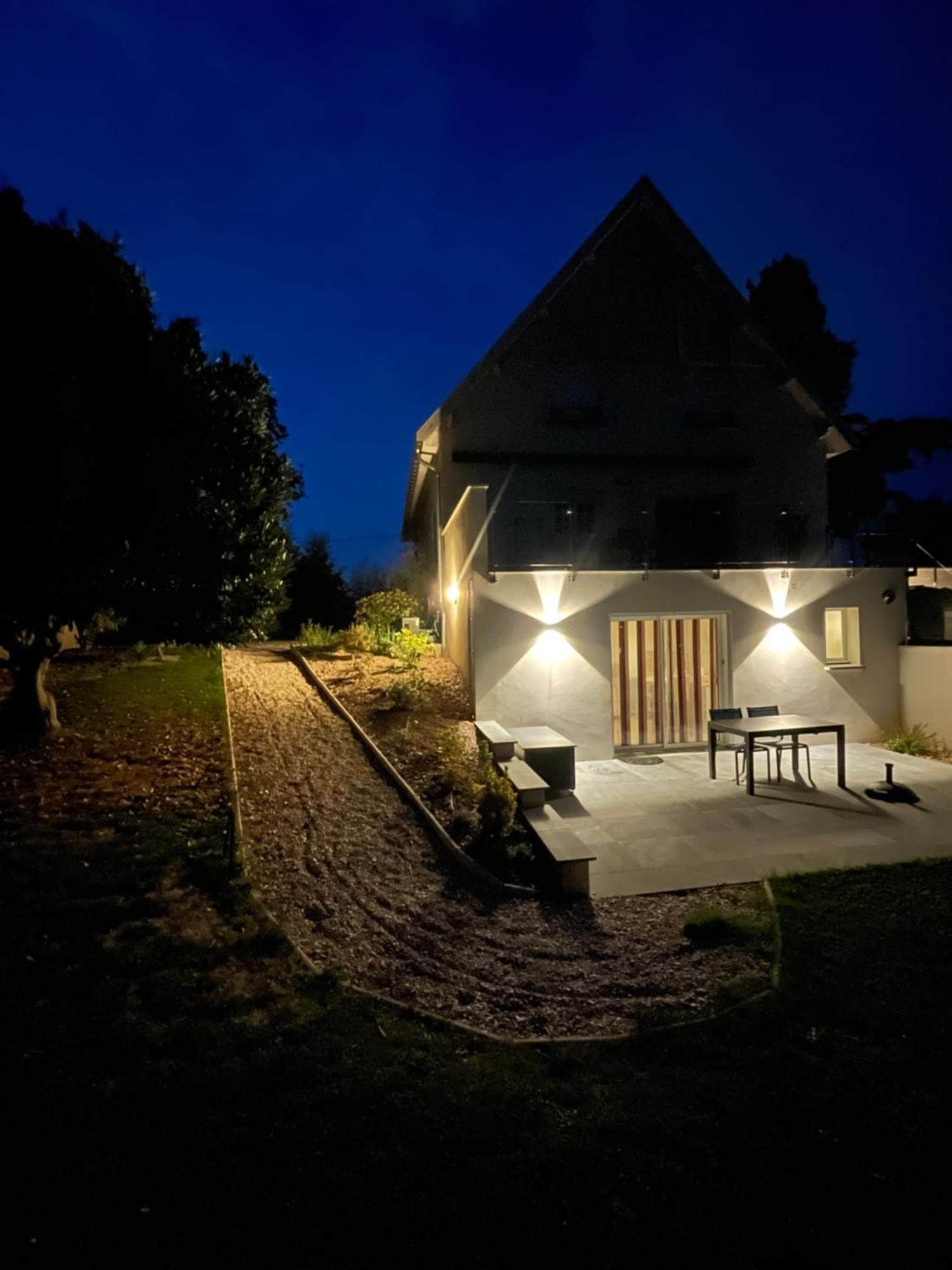 Best View, Pool And Spa On The Champagne Vineyard Saint-Thierry Exterior photo